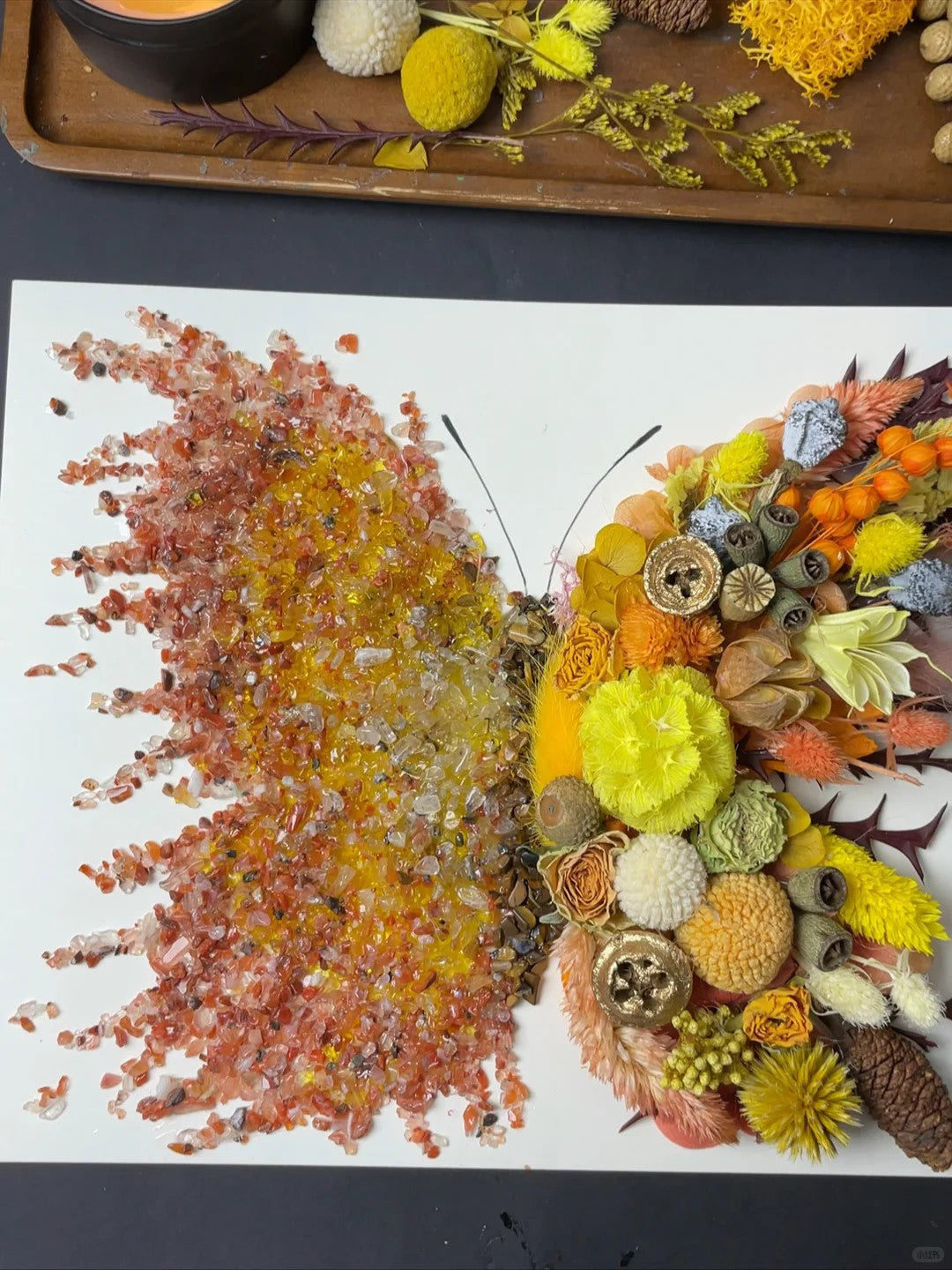 Crystal Spectrum Series Dried Flower Art Handmade Pressed Flower Decor Set